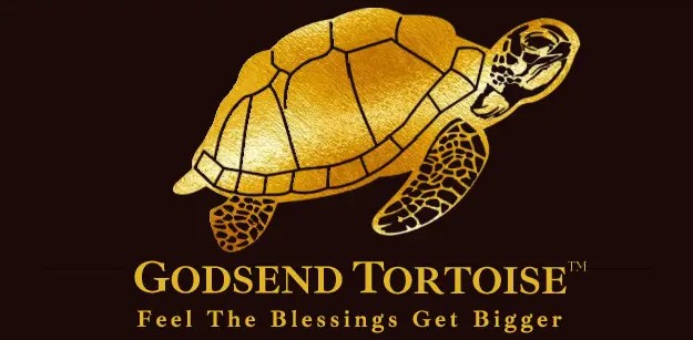 Godsend Tortoise