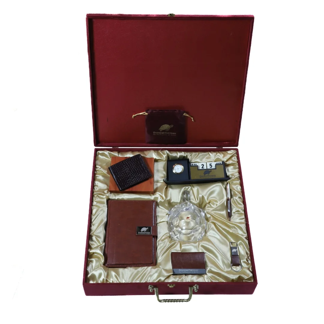 Tortoise Treasure Kit