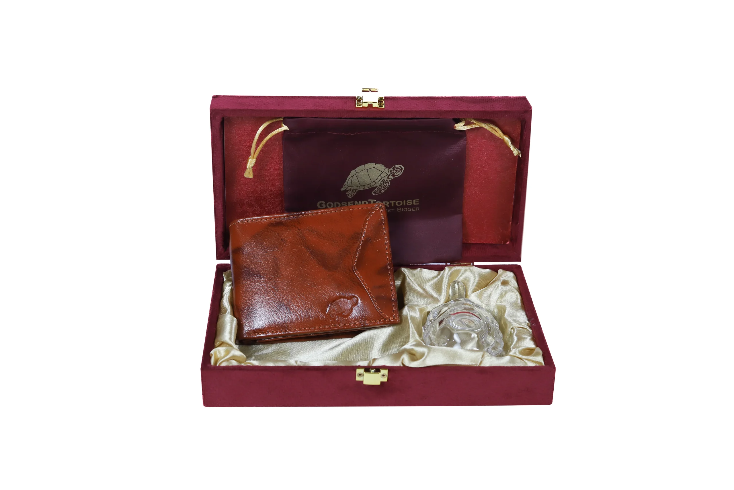 GT Bless Shine L/W - Image 3