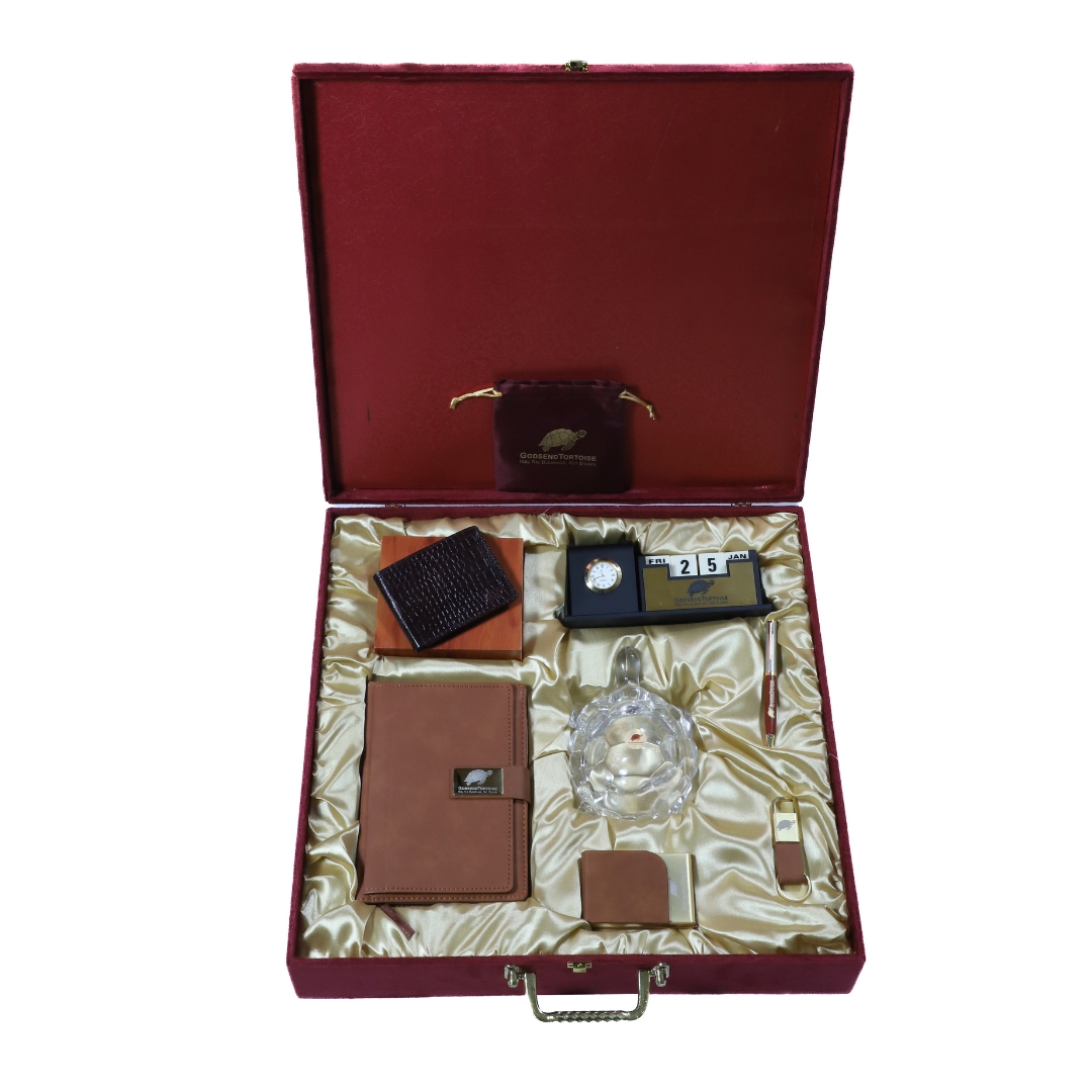 Tortoise Treasure Tan Kit