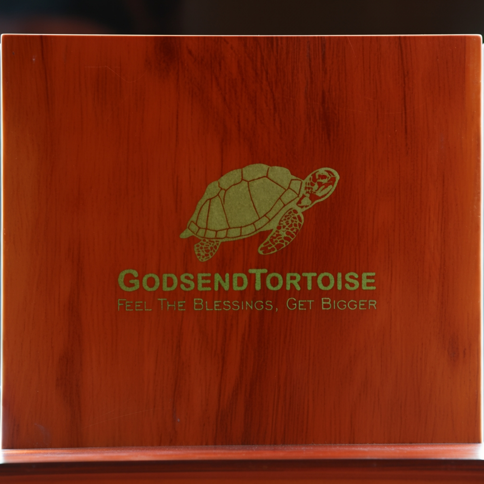 Premium Godsend Tortoise Wallet