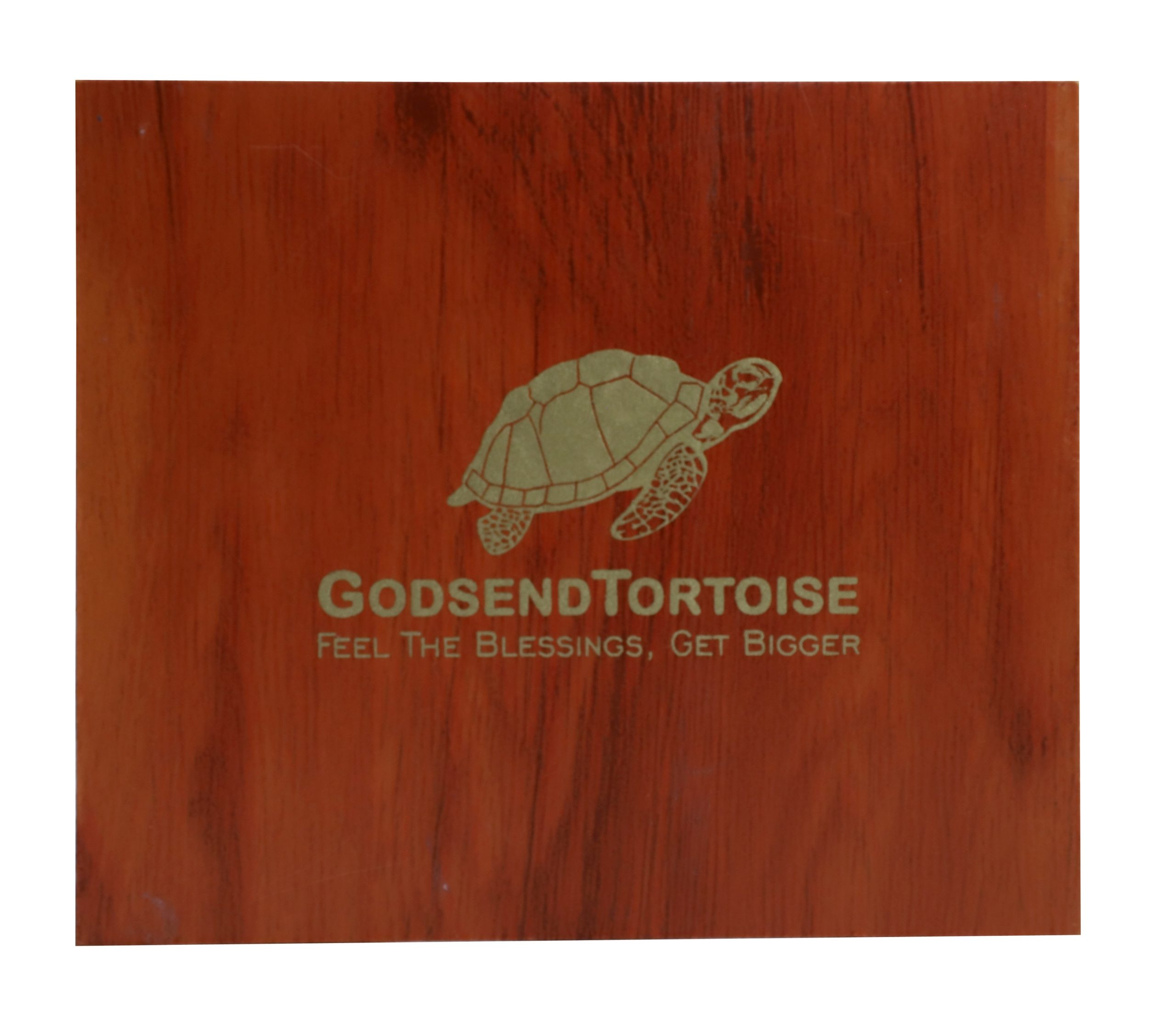 Godsend Tortoise Energy Box